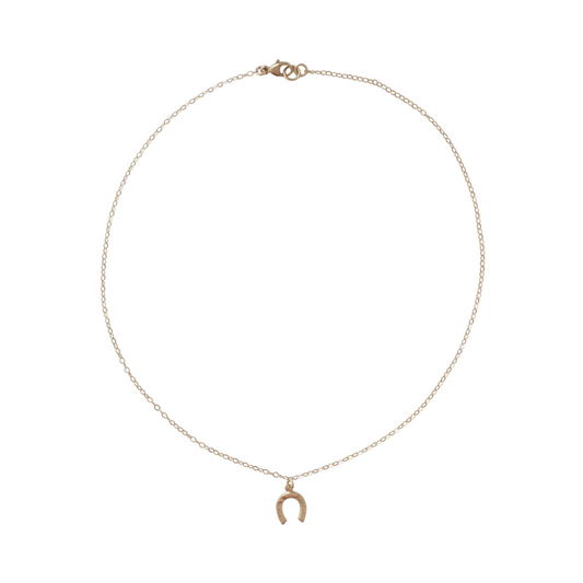 Horseshoe Charm Necklace